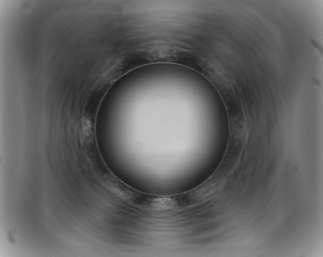 X0000098210087200804241331