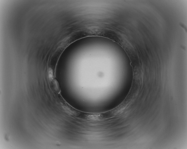 X0000098210089200804241331