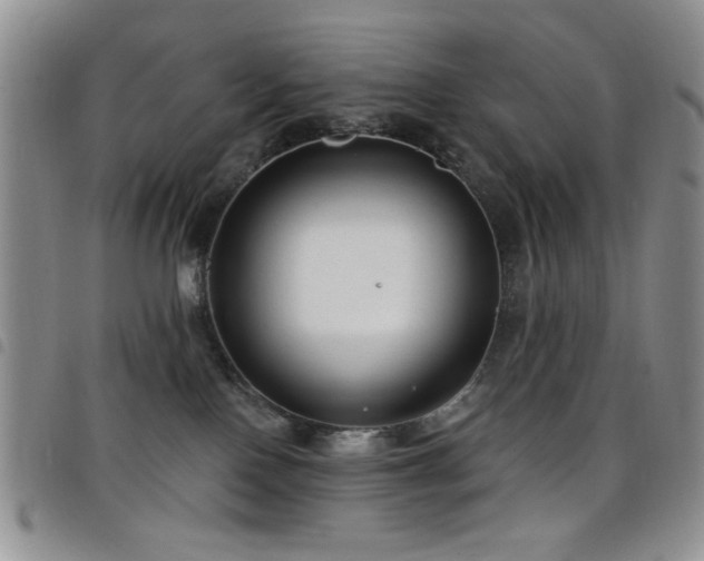 X0000098210090200804241331