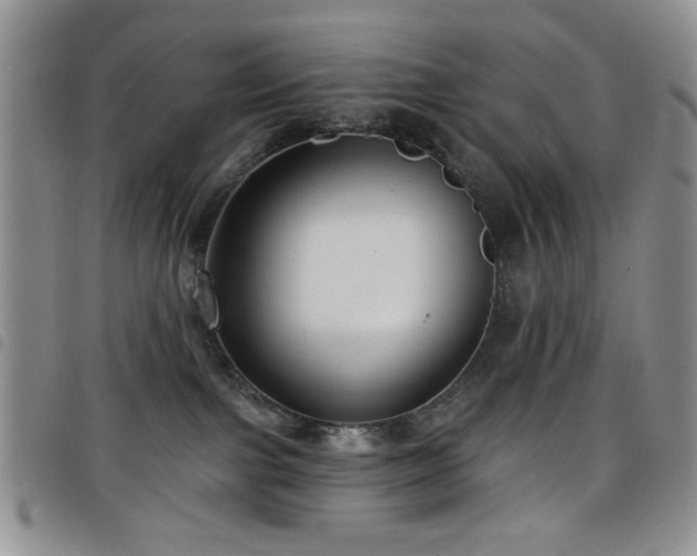 X0000098210091200804241331