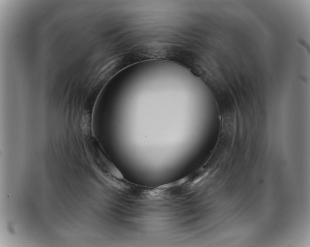 X0000098210092200804241331