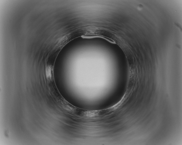 X0000098210094200804241331