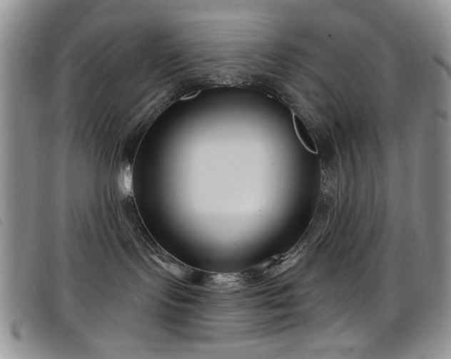 X0000098210095200804241331