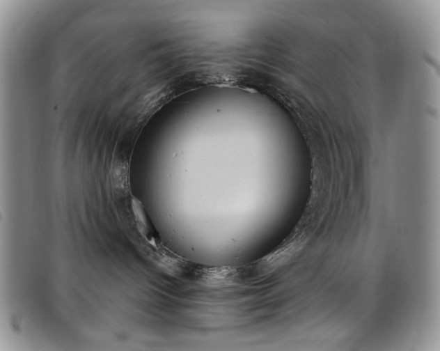 X0000098210096200804241331
