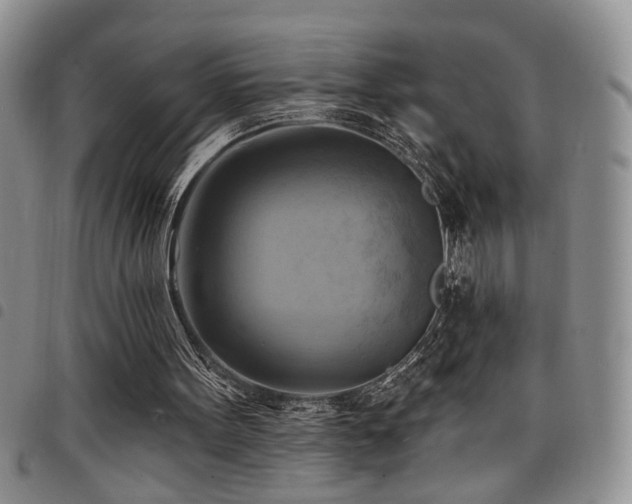 X0000098210099200804241330