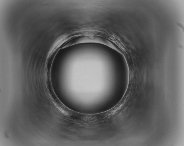 X0000098210101200804241330