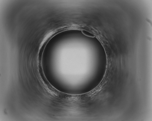 X0000098210102200804241330