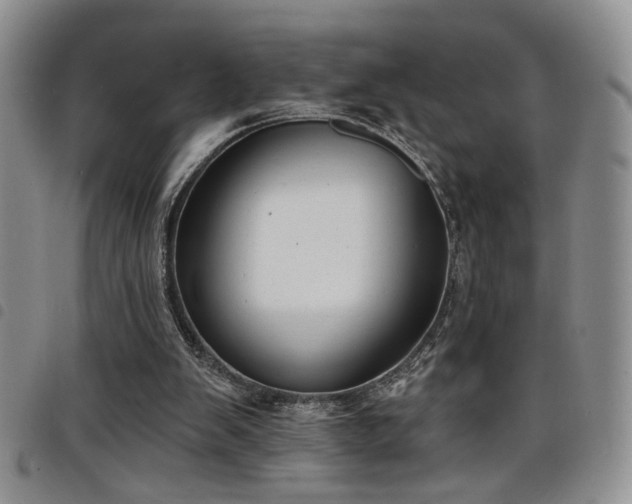 X0000098210103200804241330