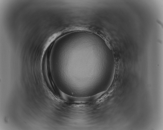 X0000098210104200804241330