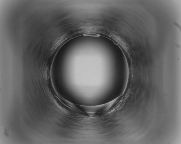 X0000098210105200804241330