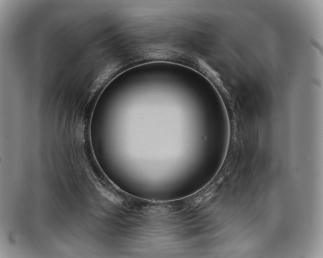 X0000098210106200804241330