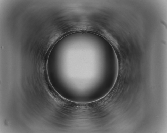 X0000098210107200804241330