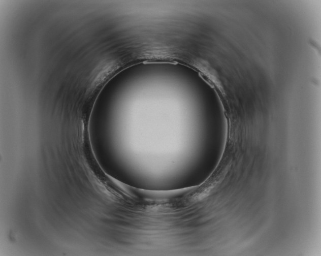 X0000098210109200804241330