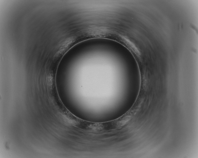 X0000098210113200804241330