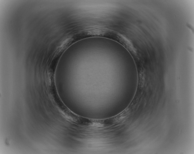 X0000098210114200804241330