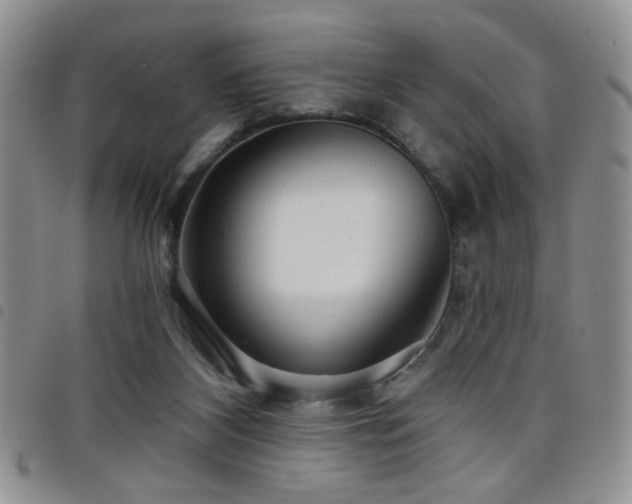 X0000098210116200804241330