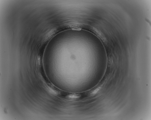 X0000098210117200804241330