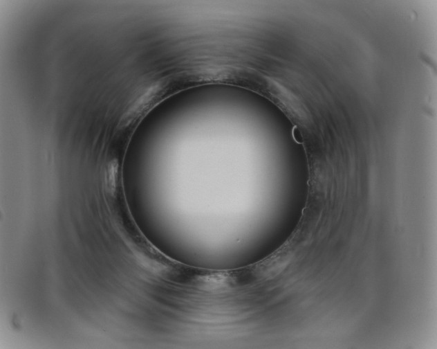 X0000098210118200804241330