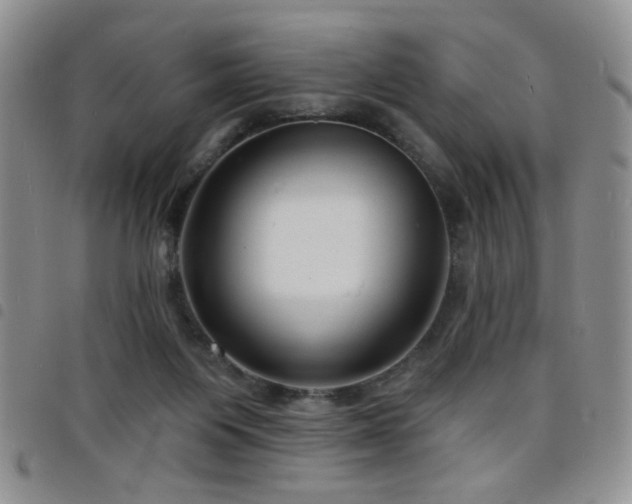 X0000098210119200804241330