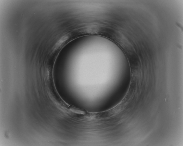 X0000098210120200804241330