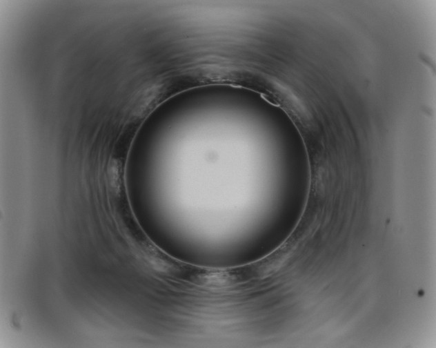 X0000098210121200804241330