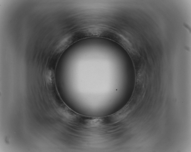 X0000098210122200804241330