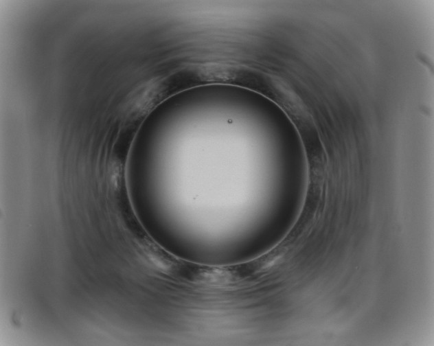 X0000098210125200804241330