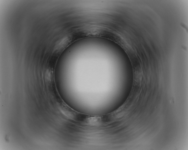 X0000098210126200804241330