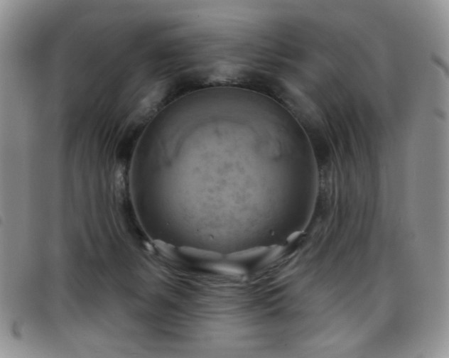 X0000098210127200804241330