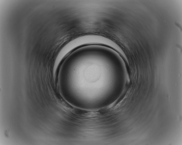 X0000098210128200804241330