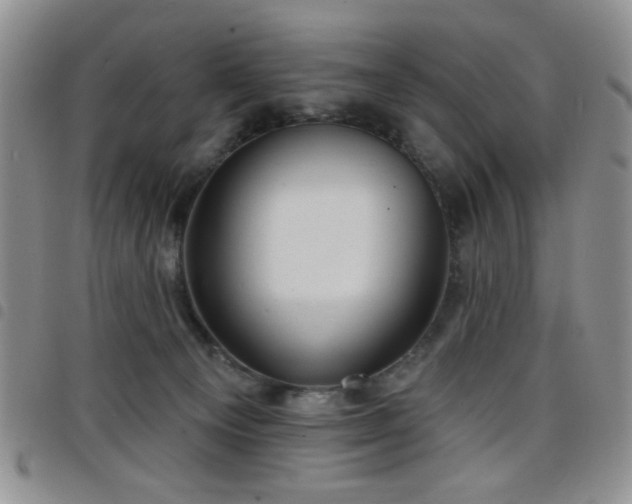 X0000098210129200804241330