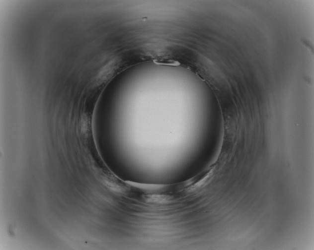 X0000098210132200804241330
