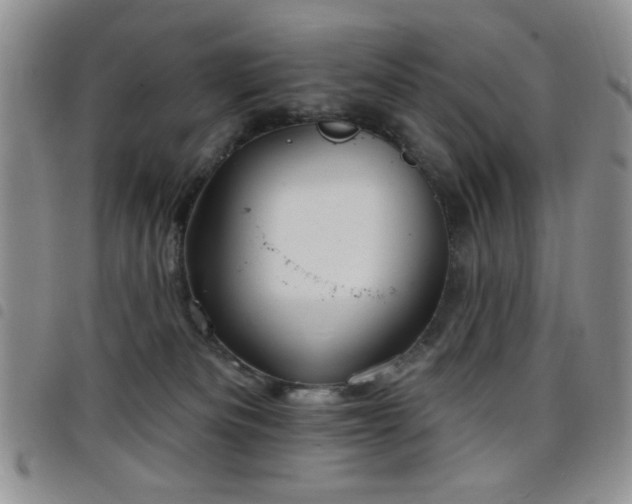 X0000098210133200804241330