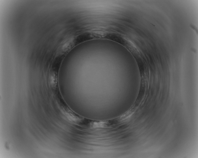 X0000098210134200804241330