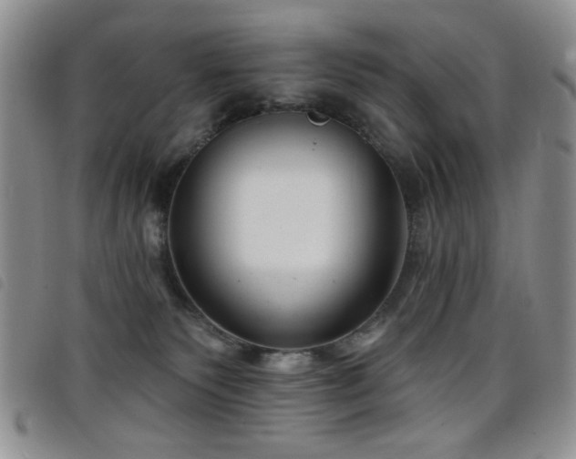 X0000098210135200804241330