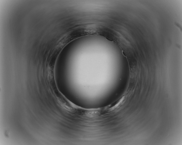X0000098210136200804241330