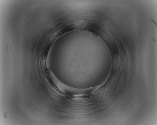 X0000098210137200804241330