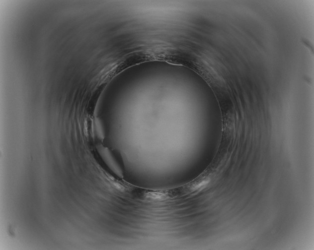X0000098210139200804241330