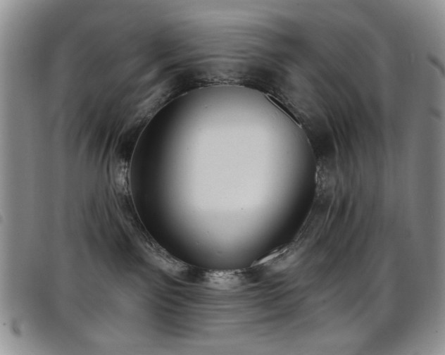 X0000098210141200804241330