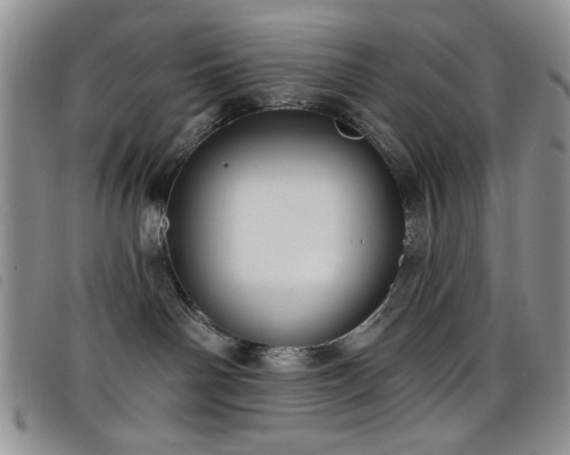 X0000098210142200804241330
