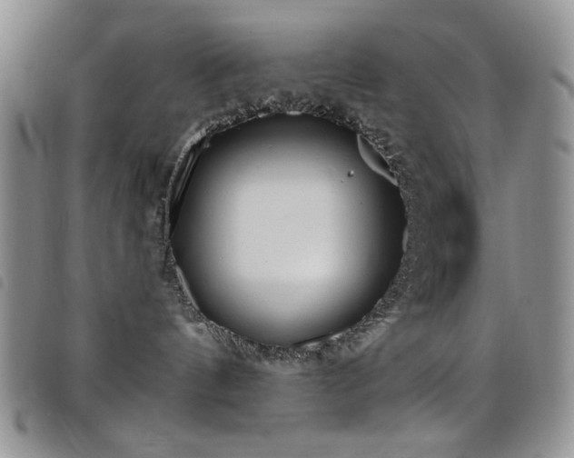 X0000098210144200804241330