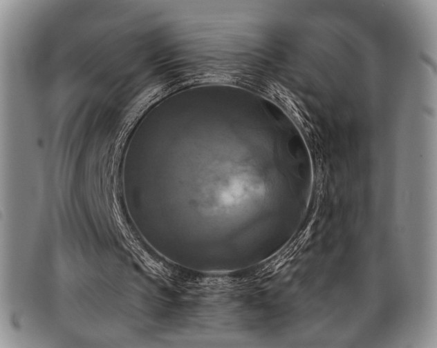 X0000098210145200804241329