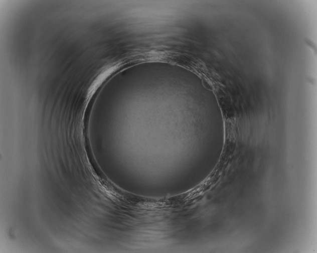 X0000098210147200804241329