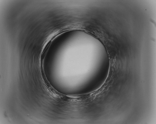 X0000098210148200804241329