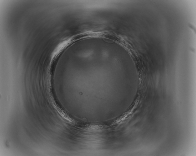 X0000098210149200804241329