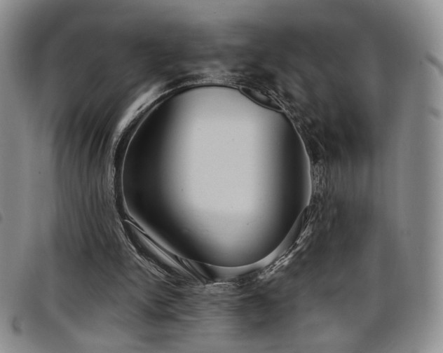 X0000098210150200804241329