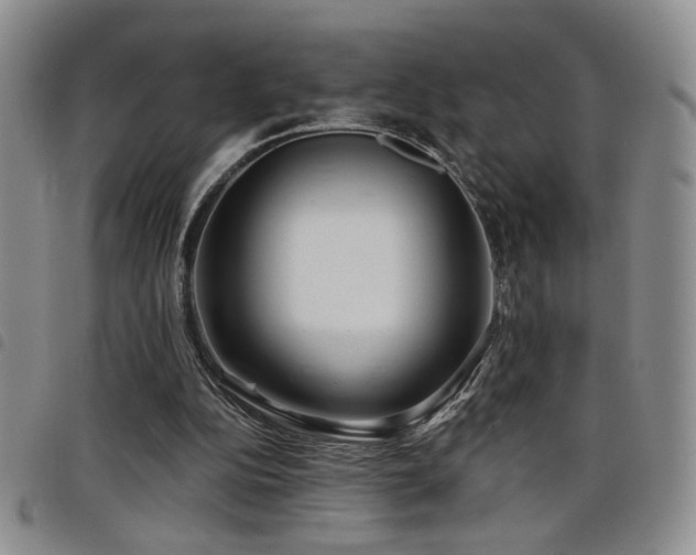X0000098210152200804241329