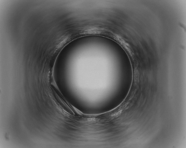 X0000098210153200804241329