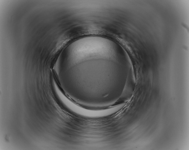 X0000098210154200804241329