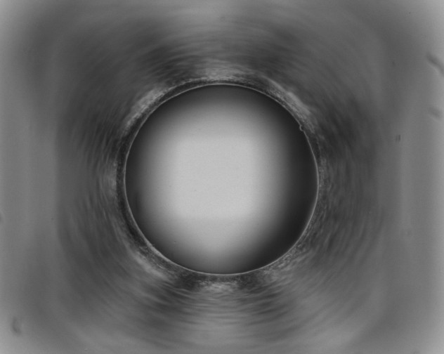 X0000098210155200804241329